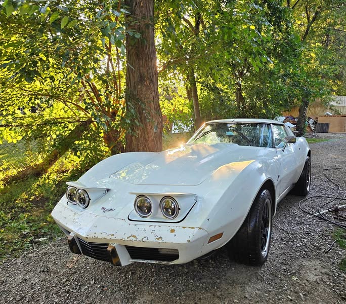 1977 Chevrolet Corvette - Stingray Coupe 2D