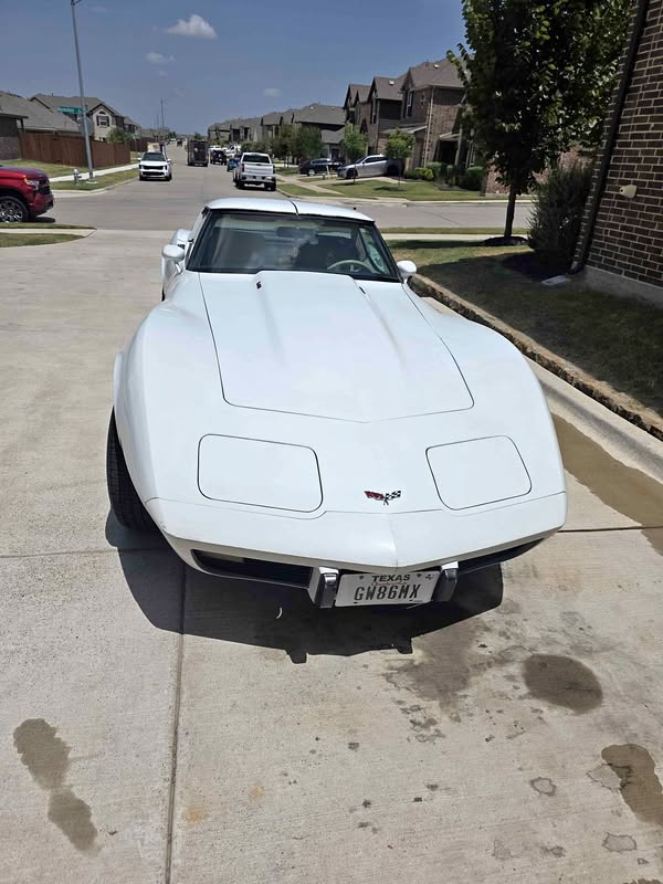 1979 Chevrolet Corvette - Stingray Coupe 2D
