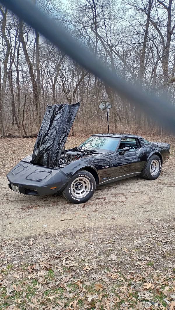 1979 Chevrolet Corvette - Stingray Coupe 2D