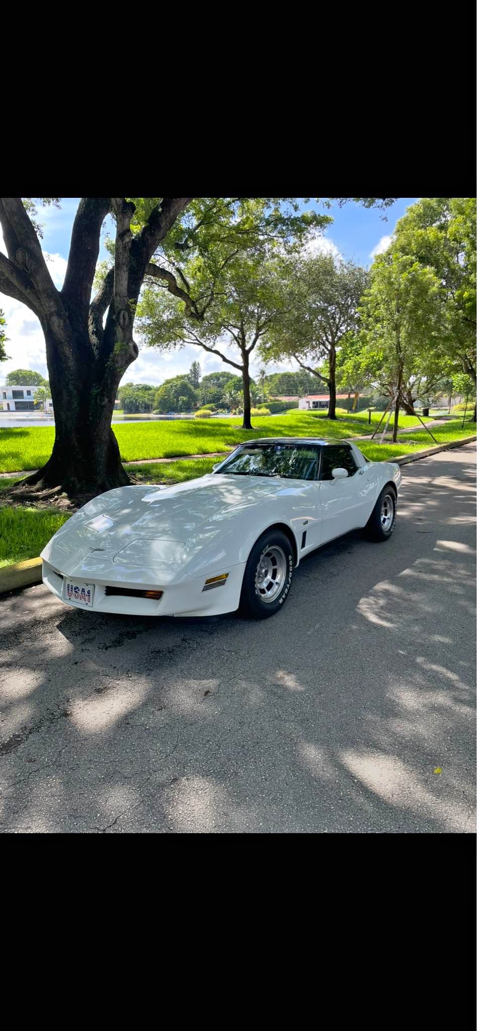 1980 Chevrolet Corvette - Stingray Coupe 2D