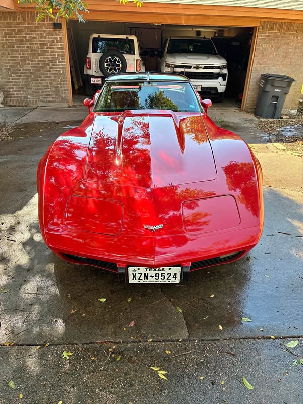 1979 Chevrolet Corvette - Stingray Coupe 2D