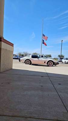 1980 Chevrolet Corvette - Stingray Coupe 2D