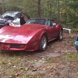 1975 Chevrolet Corvette