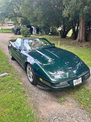 1994 Chevrolet Corvette - Convertible 2D