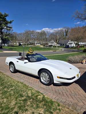 1991 Chevrolet Corvette - Convertible 2D