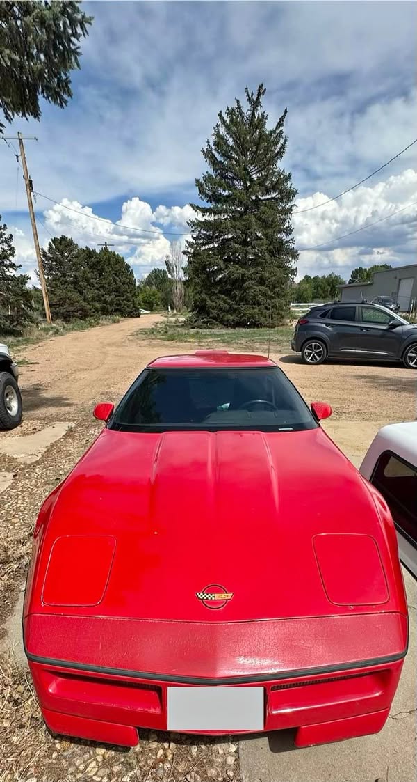 1990 Chevrolet Corvette - Greenwood