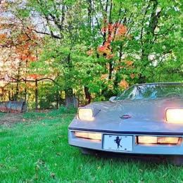 1984 Chevrolet Corvette - Hatchback Coupe 2D