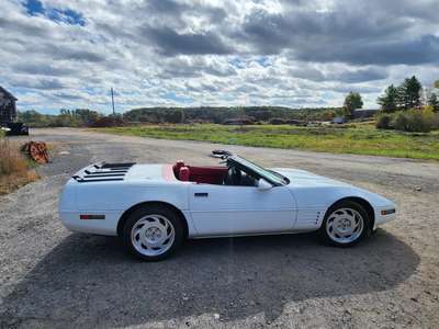 1991 Chevrolet Corvette 20K MILE 6 SPEED SURVIVOR