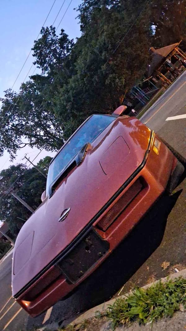 1984 Chevrolet Corvette