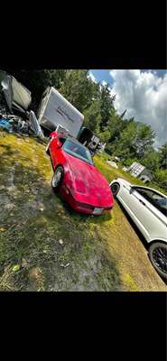 1989 Chevrolet Corvette - Coupe 2D