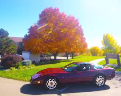 1993 Chevrolet Corvette