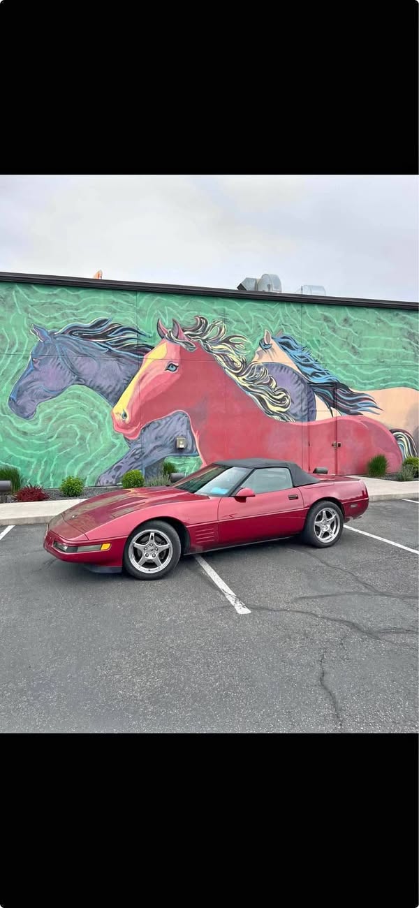 1991 Chevrolet Corvette