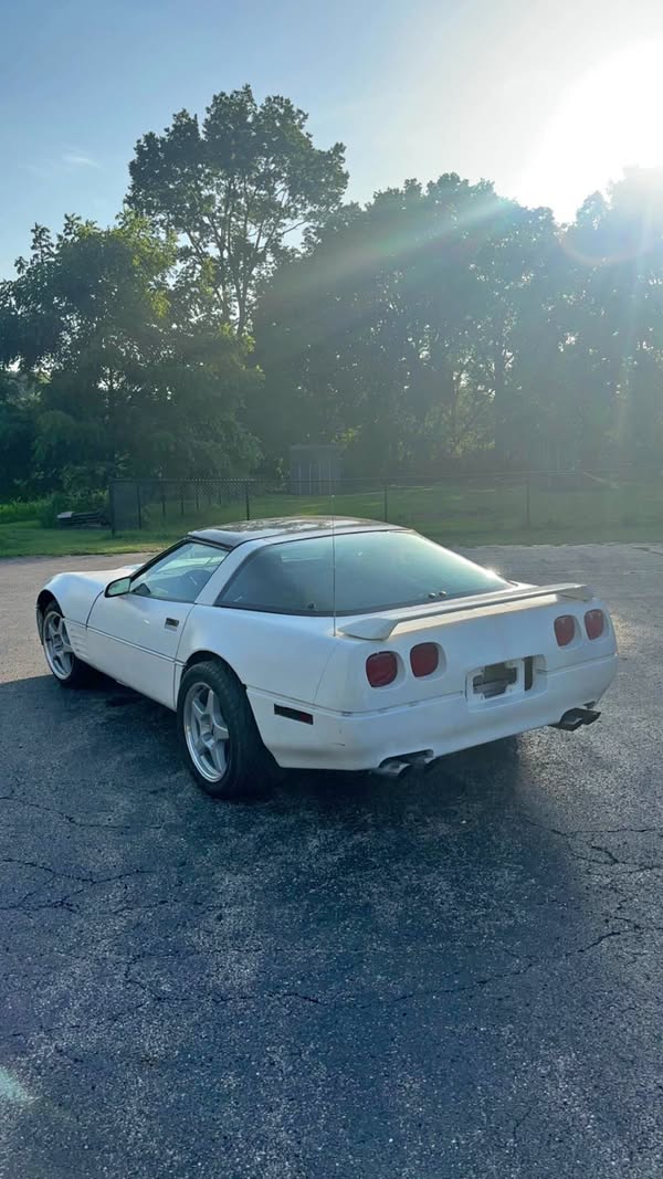 1984 Chevrolet Corvette - Hard top