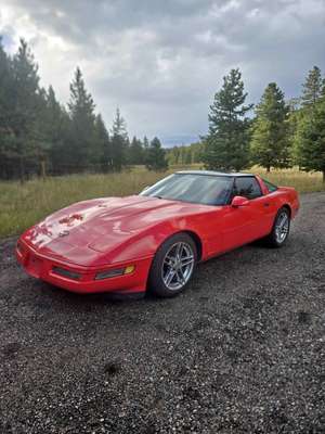 1996 Chevrolet Corvette - Coupe 2D