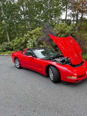 1999 Chevrolet Corvette - Coupe 2D