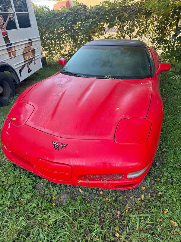 1999 Chevrolet Corvette - Coupe 2D