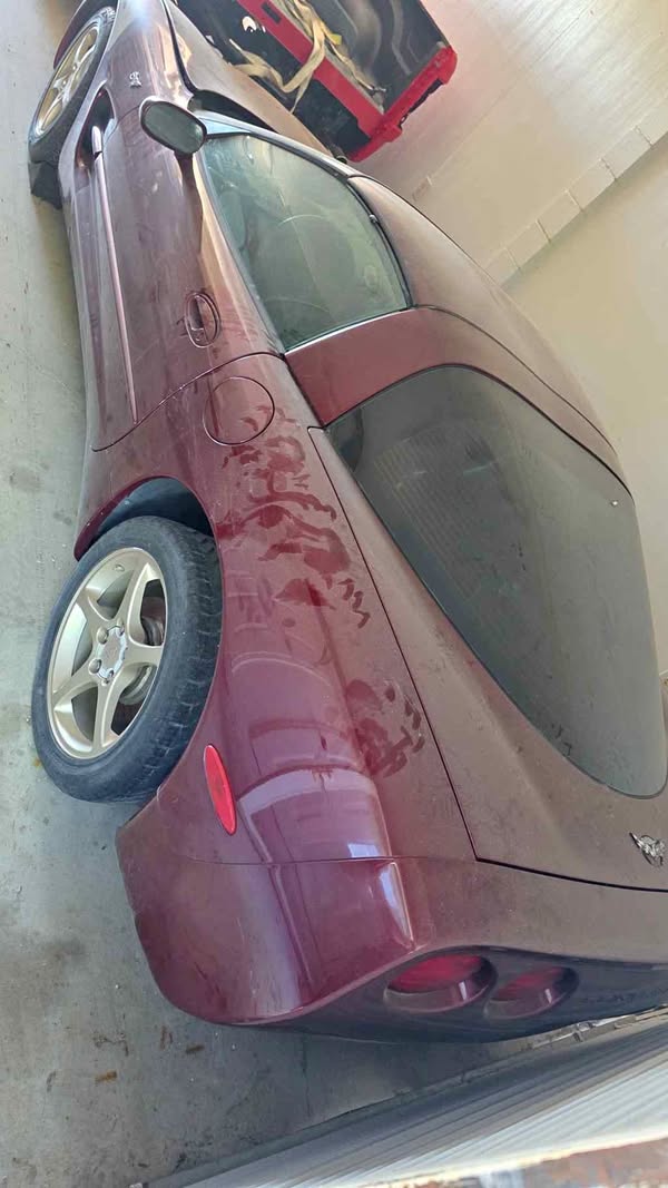 2003 Chevrolet Corvette - Hatchback Coupe 2D
