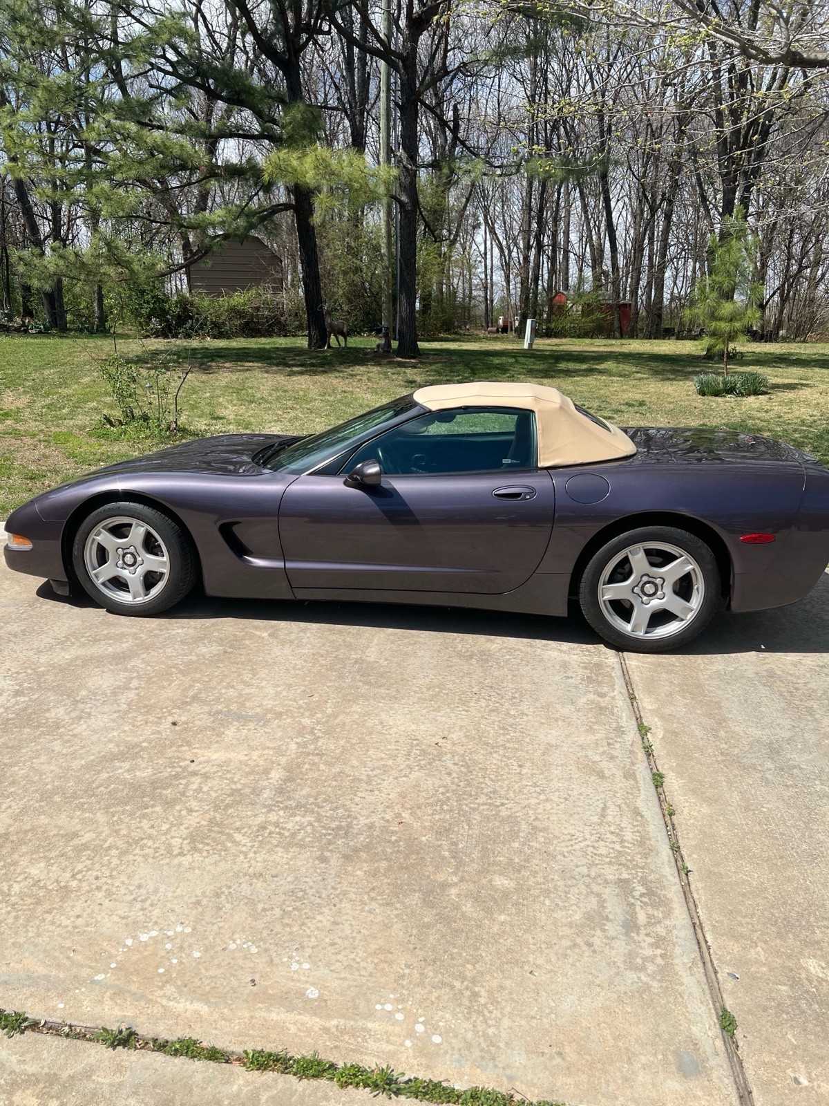 1998 Chevrolet Corvette
