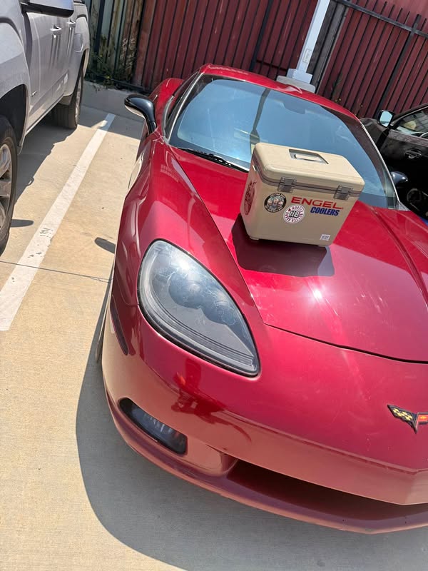 2007 Chevrolet Corvette - Coupe 2D