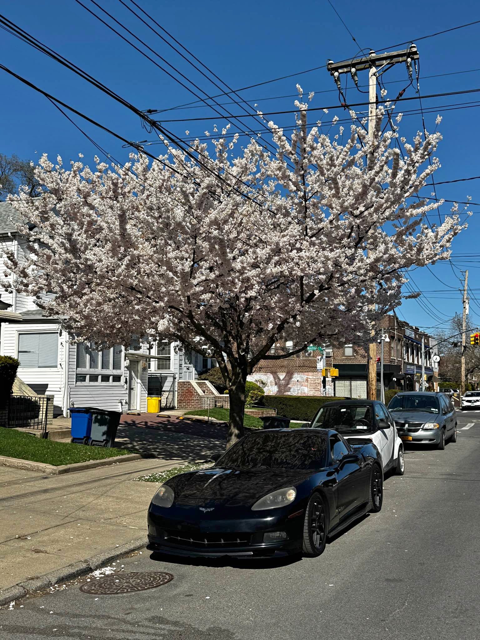 2009 Chevrolet Corvette