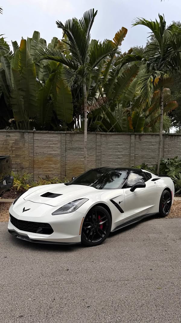 2019 Chevrolet Corvette - Stingray Z51 Coupe 2D