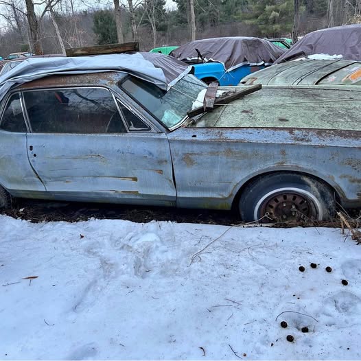 1967 Mercury Cougar - Gt