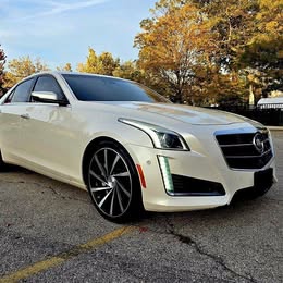 2014 Cadillac Cadillac+CTS-V Cts+v+sport