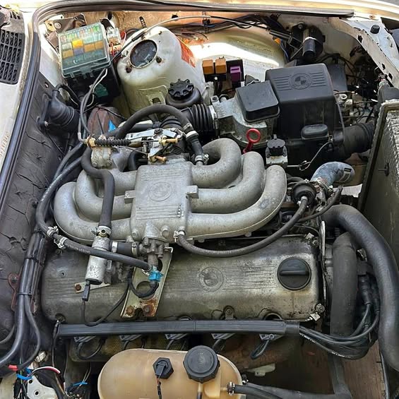 1986 BMW 3 Series - 325e