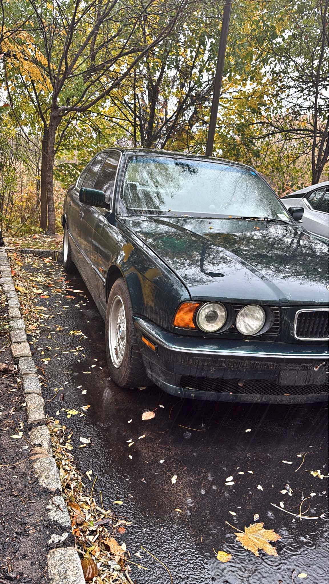 1995 BMW 5 Series - 525i Sedan 4D