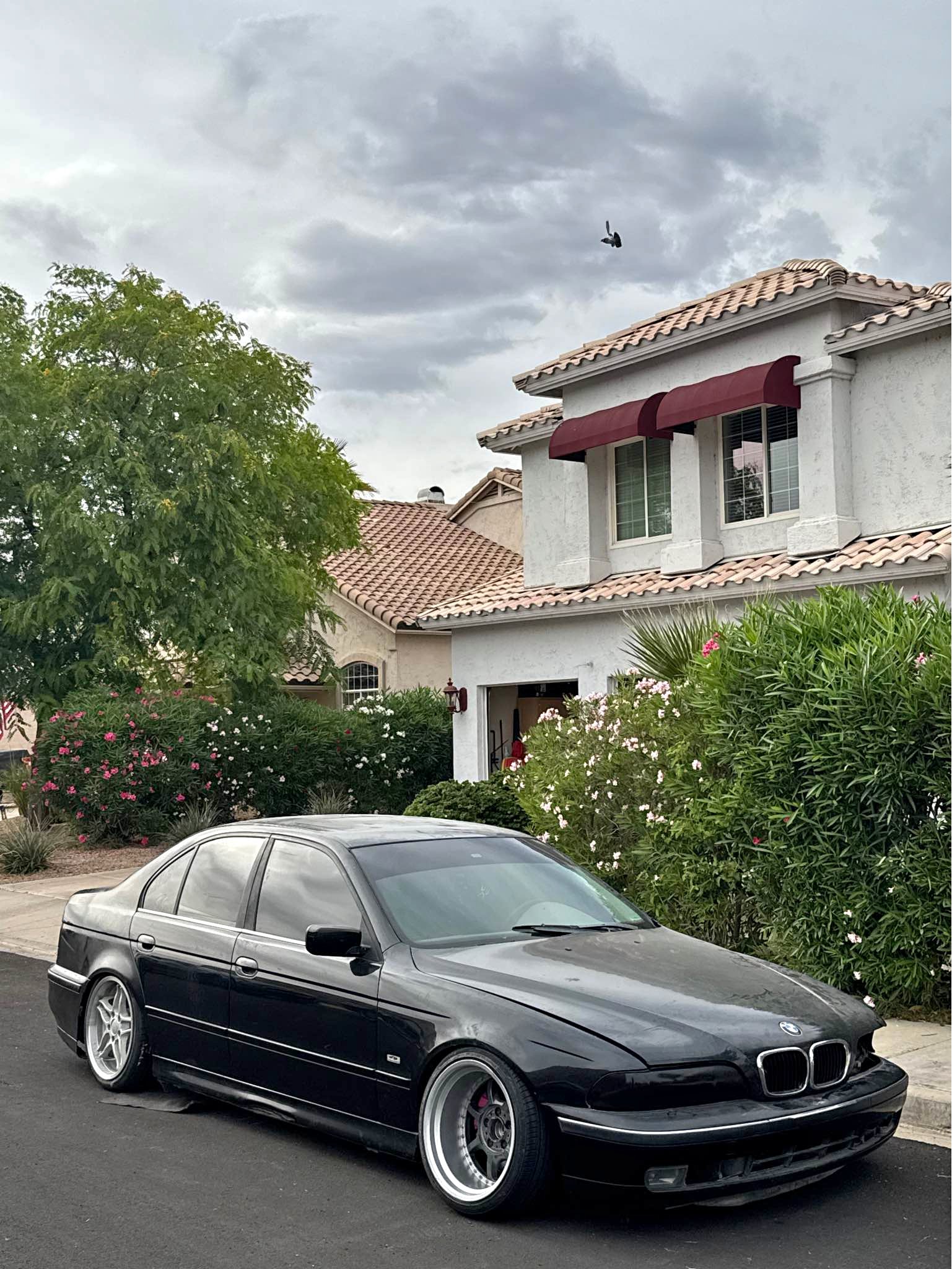 2002 BMW 5 Series - 530i Sedan 4D