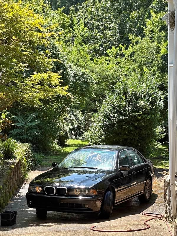 2002 BMW 5 Series - 530i Sedan 4D