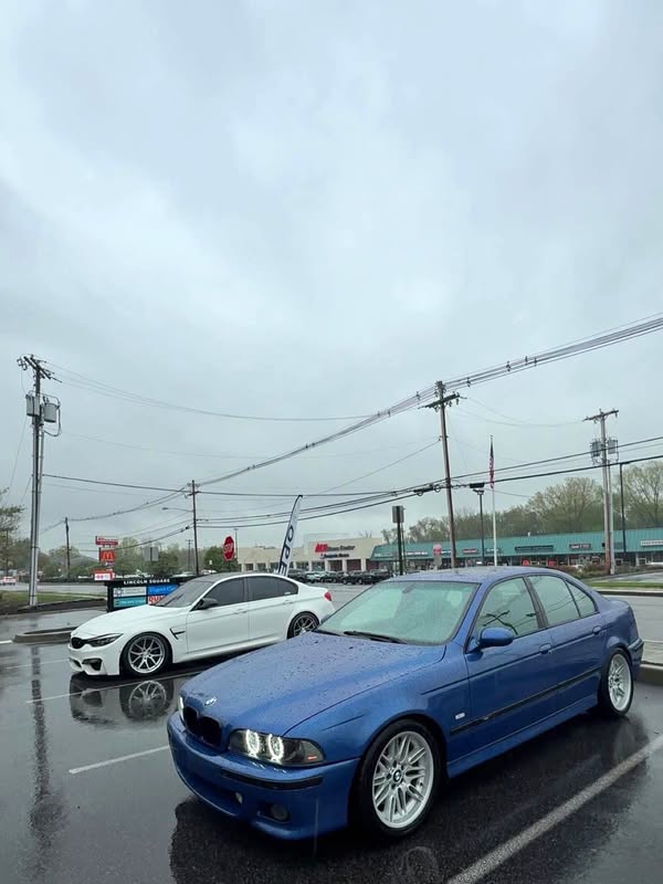2001 BMW M5 - Sedan 4D