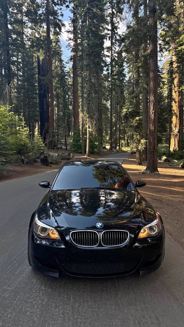 2006 BMW M5 - Sedan 4D