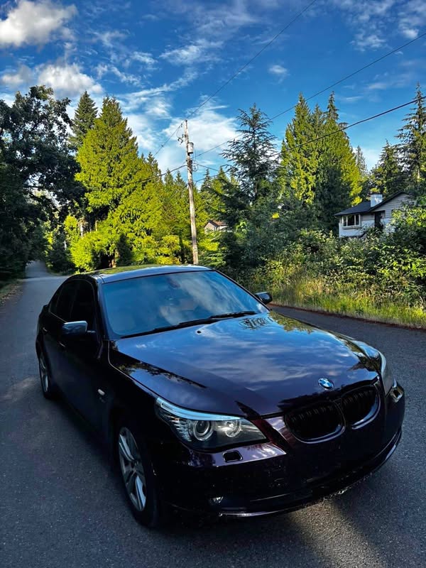 2009 BMW 5 Series - 528i xDrive Sedan 4D