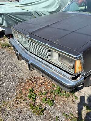 1981 Chevrolet elcamino - Standard