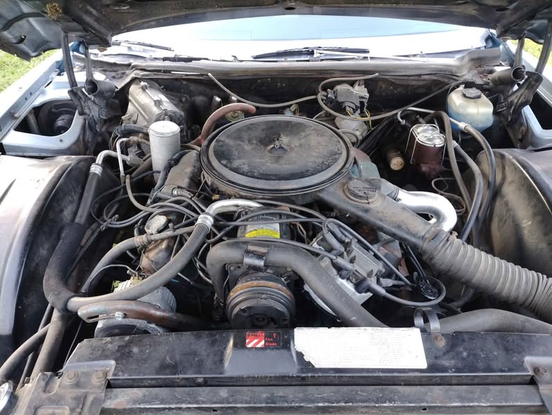 1977 Cadillac Eldorado - Coupe 2D