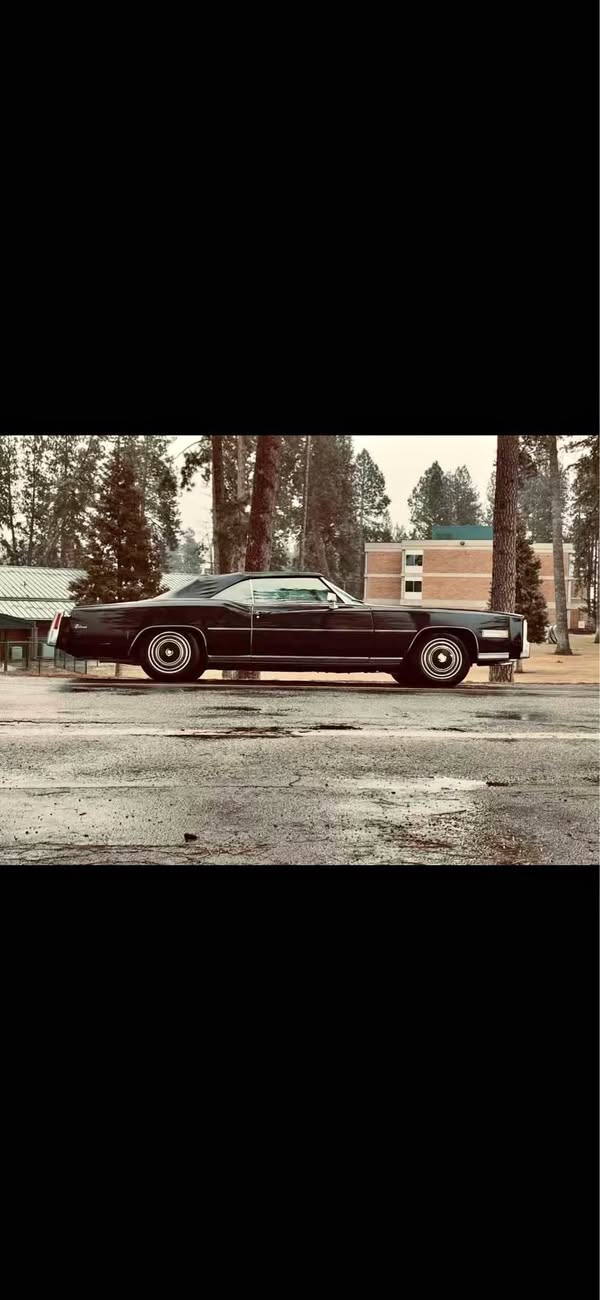 1976 Cadillac Eldorado - Coupe 2D