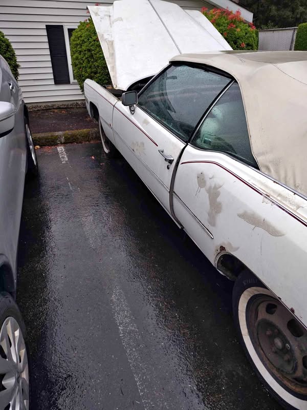 1976 Cadillac Eldorado - Coupe 2D