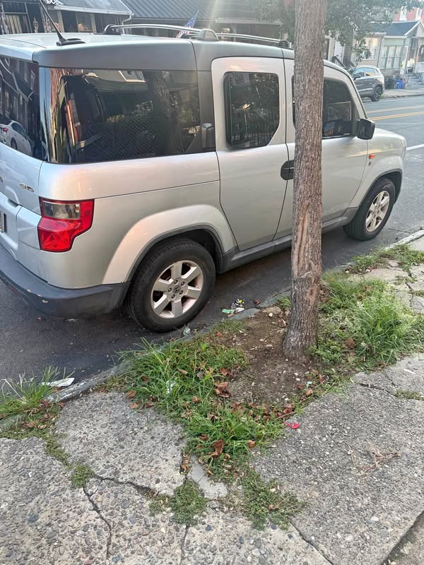 2010 Honda Element - Dog Friendly Package