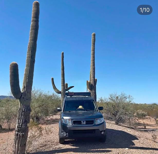 2009 Honda Element - EX Sport Utility 4D
