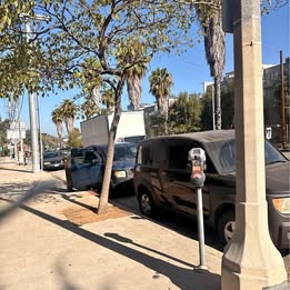 2003 Honda Element EX & 2006 Element LX