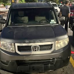 2010 Honda element