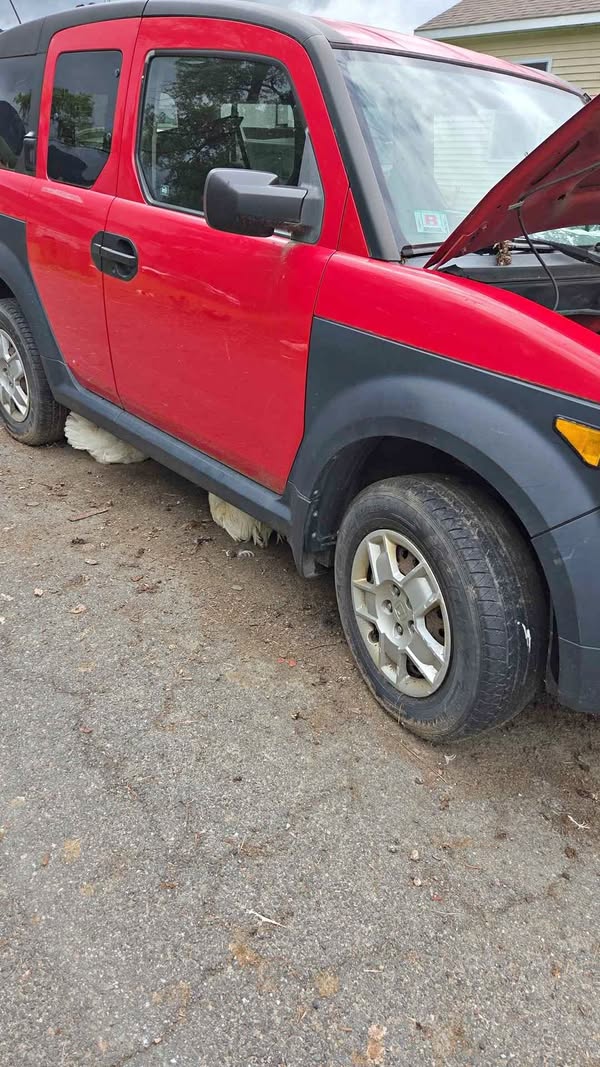 2006 Honda Element