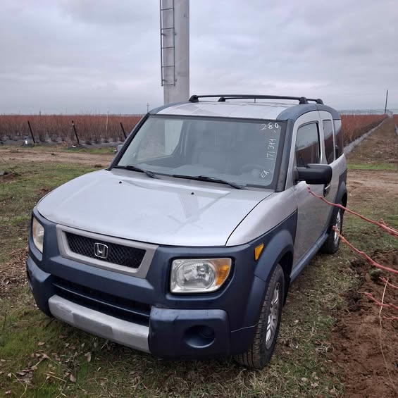 2006 Honda Element - Sport