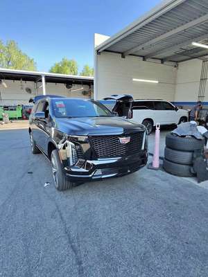 2026 Cadillac Escalade - Sport