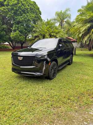 2023 Cadillac Escalade - Platinum