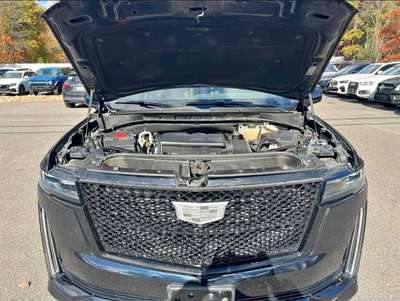 2023 Cadillac Escalade - Premium Sport Utility 4D