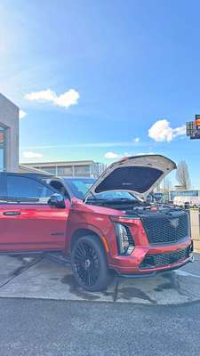 2025 Cadillac Escalade - V