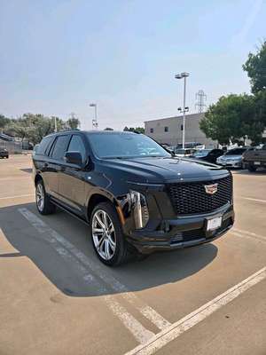 2026 Cadillac Escalade - Platinum Sport