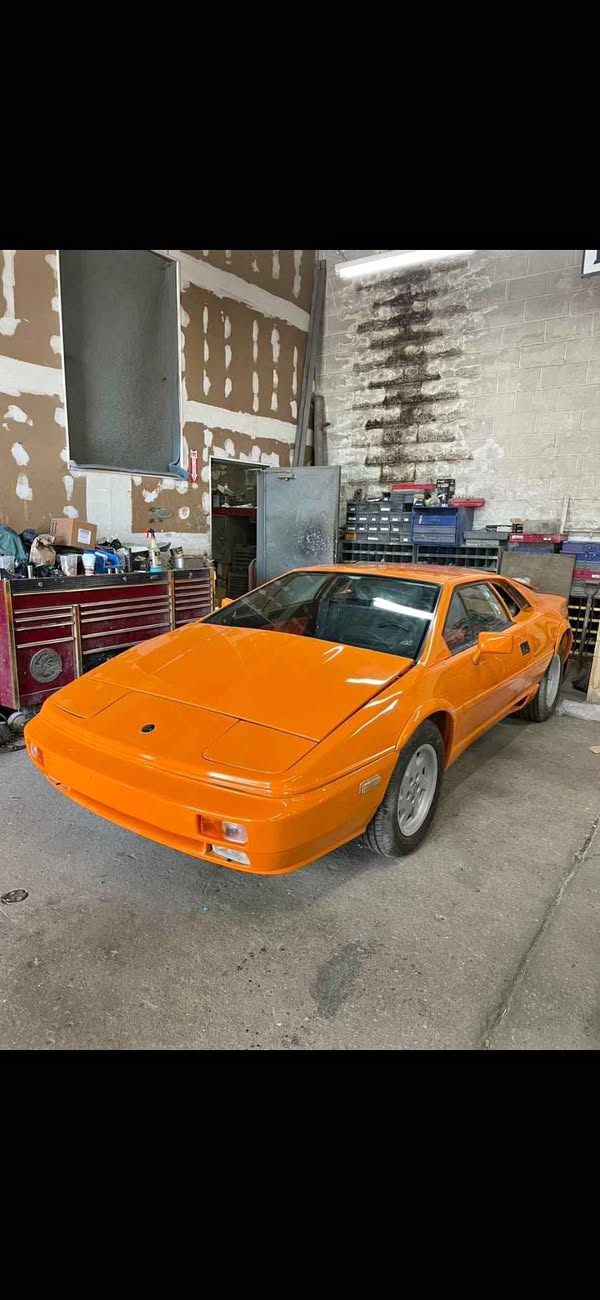 1989 Lotus esprit